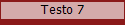 Testo 7
